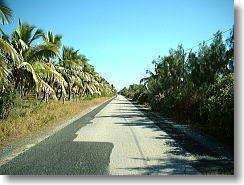 Mouli�ւ̓�