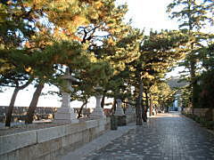夫婦岩への参道・朝