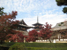 五重塔と紅葉