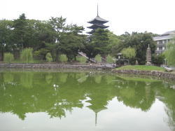 猿沢の池、興福寺五重塔