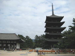 興福寺。東金堂と五重塔。